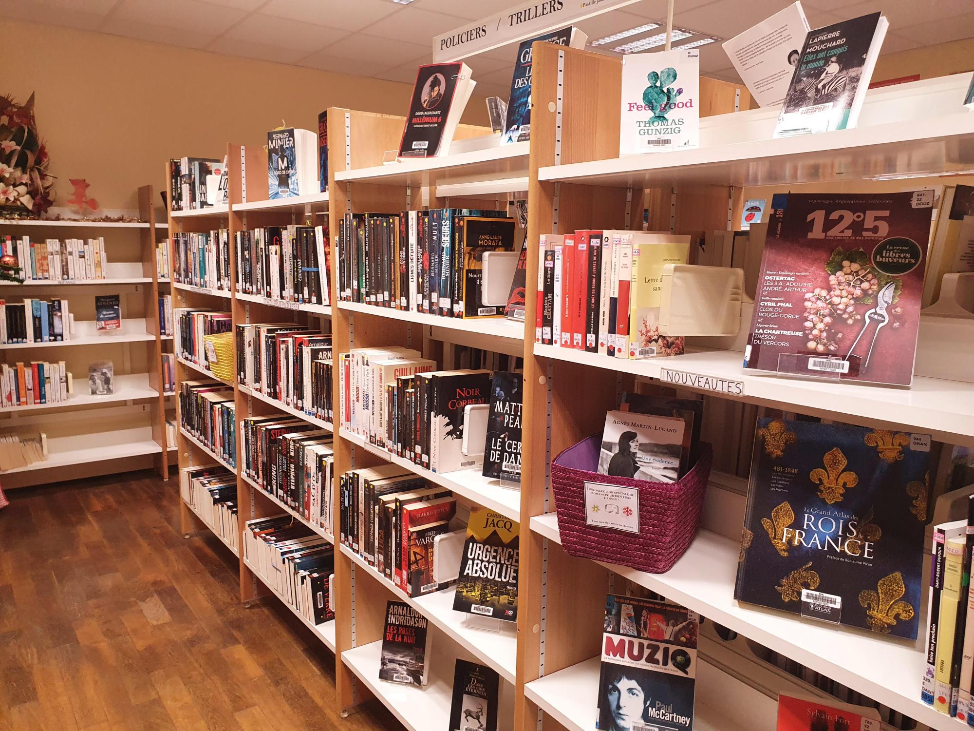 le coin bibliothèque des grands et adultes